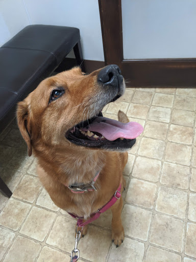 8117 Macomb St # 1, Grosse Ile Township, MI 48138, USA