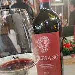 Photo n°6 de l'avis de Jonathan.o fait le 14/12/2020 à 12:42 sur le  Al Sangiovese Restaurant à Bologna