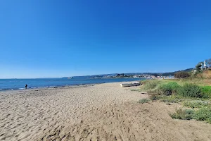 Playa Negra image