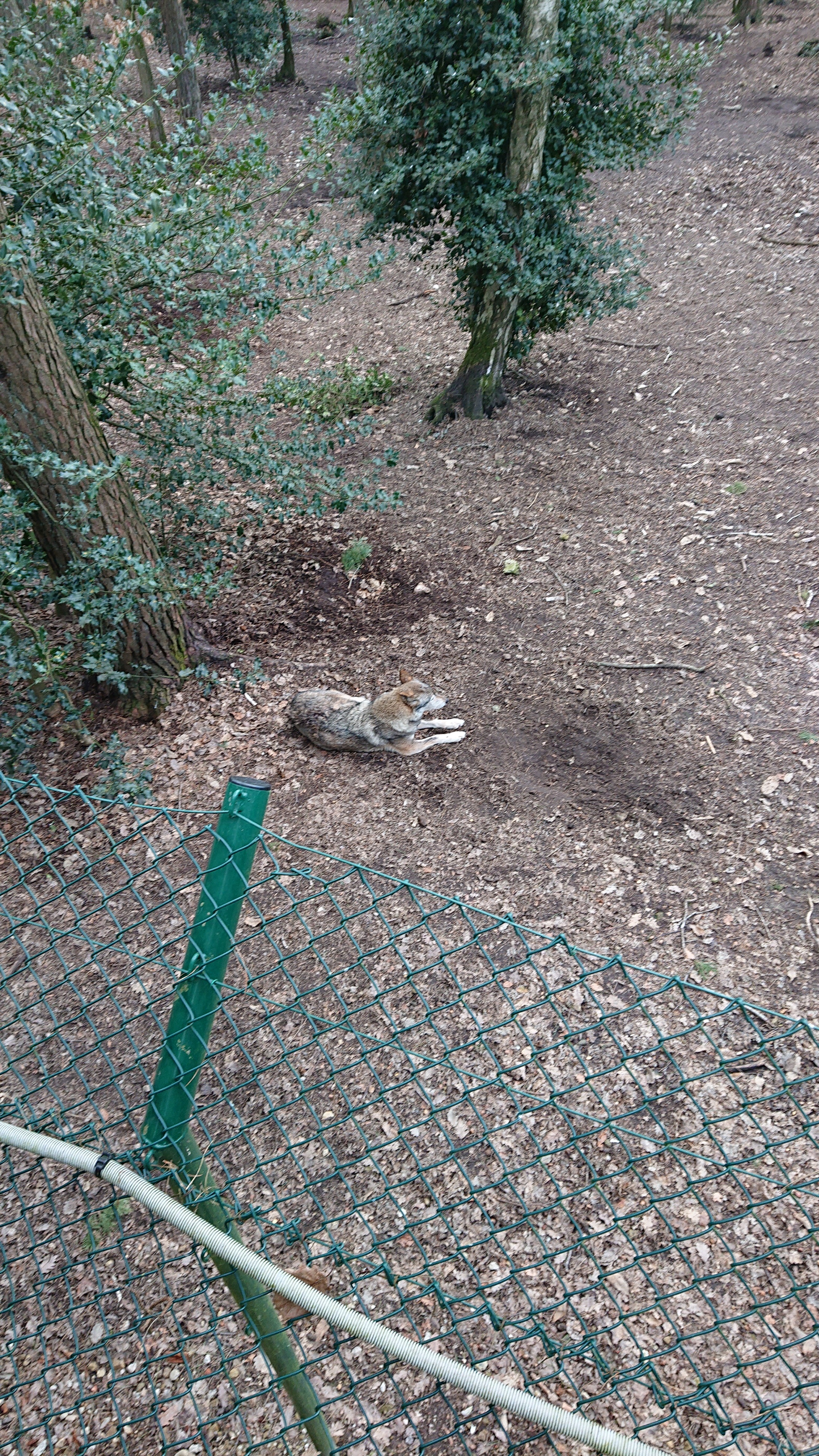 Photo n° 2 de l'avis de Emma.e fait le 21/02/2019 à 09:24