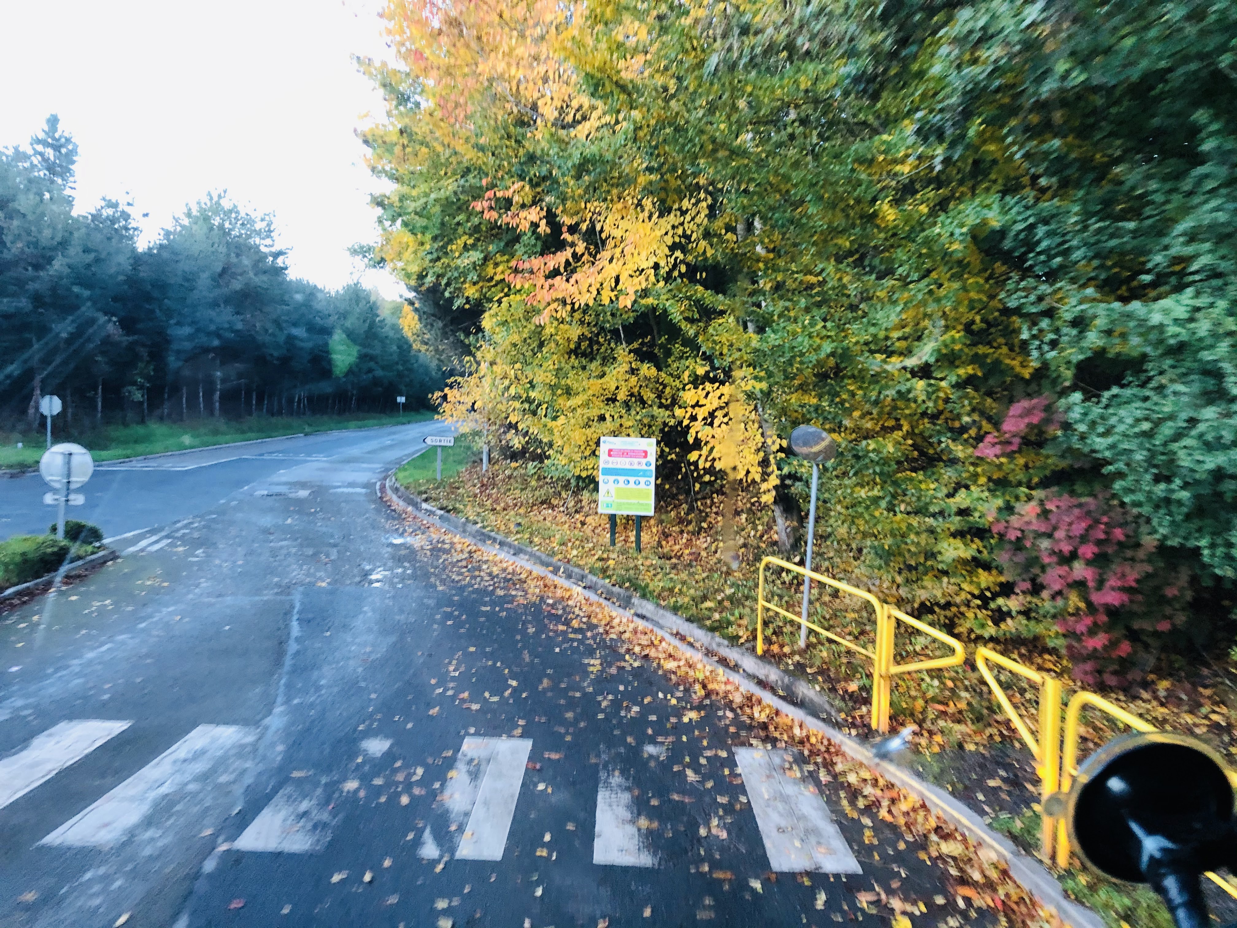 Photo n° 7 de l'avis de Sergiu.u fait le 26/10/2020 à 18:45