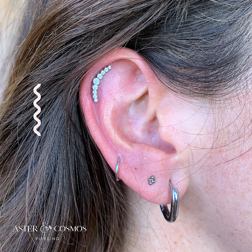 Find peacock tattoo ideas for your next unique tattoo in San Diego at Aster and Cosmos Piercing