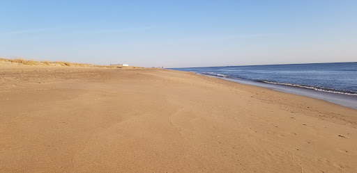 Army & Navy Surplus Shop «Navy Exchange-Dam Neck Annex», reviews and photos, 1977 Terrier Ave, Virginia Beach, VA 23461, USA