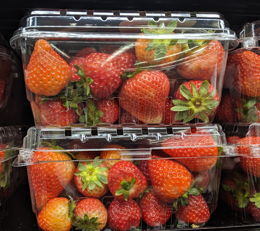 Grocery Store «Food Lion», reviews and photos, 83 Augusta Ave, Grottoes, VA 24441, USA