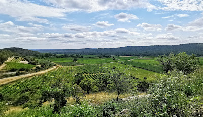 Château Lancyre Vins en Pic Saint Loup à Valflaunès