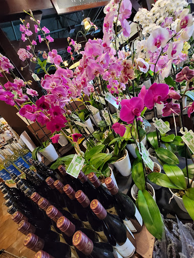 Grocery Store «The Fresh Market», reviews and photos, 3722 Henderson Blvd, Tampa, FL 33609, USA