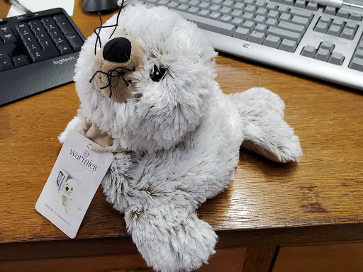 Gift Shop «Jacksons General Store», reviews and photos, 582 W Main St, Sylva, NC 28779, USA