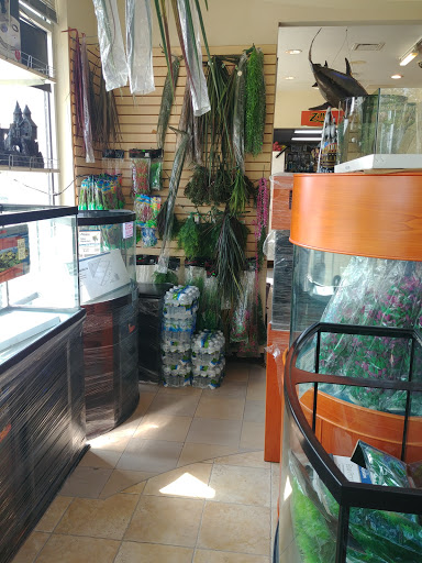 Pet Store «Fish-N-Pets Unlimited», reviews and photos, 11710 Bissonnet St, Houston, TX 77099, USA