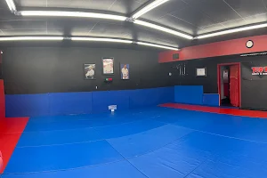 Gracie Florida Jiu-Jitsu image