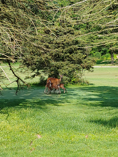 Golf Course «Little Met Golf Course», reviews and photos, 18599 Old Lorain Rd, Cleveland, OH 44135, USA