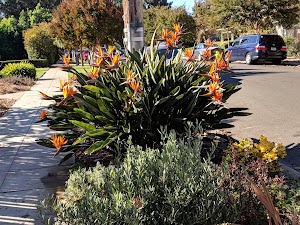 Mariposa Park - photo 2