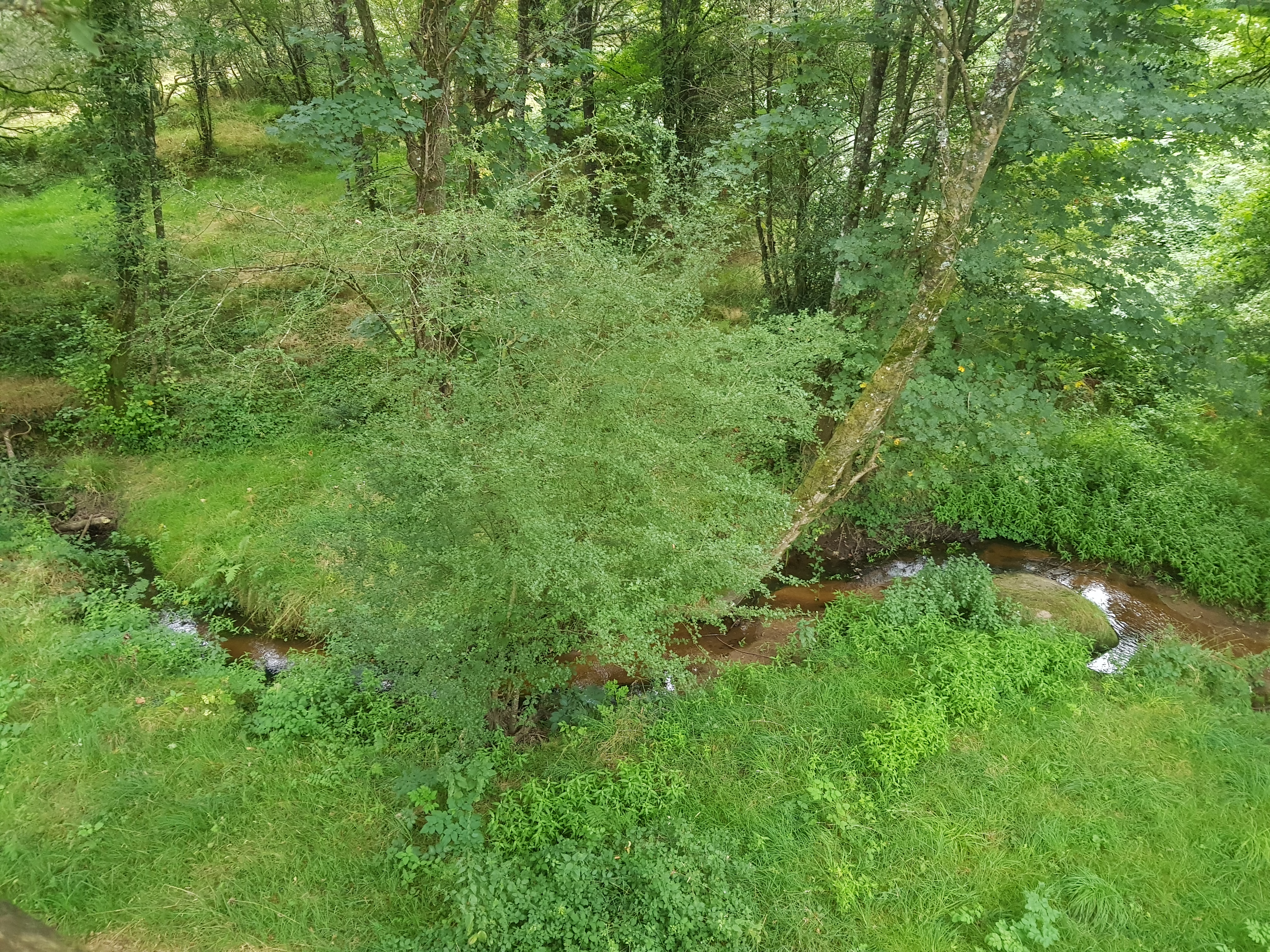 Photo n° 15 de l'avis de El.r fait le 21/08/2021 à 13:44