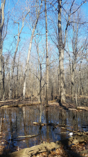 Public Golf Course «Palmer Park Golf Course», reviews and photos, 19013 Woodward Ave, Detroit, MI 48203, USA