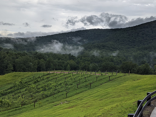 Winery «The Cottage Vineyard & Winery», reviews and photos, 5050 US-129, Cleveland, GA 30528, USA