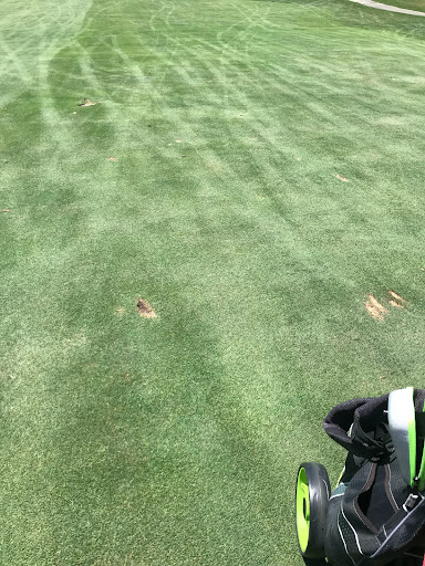 Golf Club «Pine Meadow Golf Club», reviews and photos, 1 Pine Meadow Ln, Mundelein, IL 60060, USA