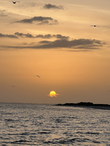 Boat Tour Agency «Good Time Charters», reviews and photos, 4765 Estero Blvd, Fort Myers Beach, FL 33931, USA