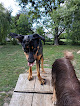 Cani parc Bourges