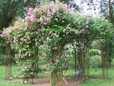 Roseraie - Les Chemins de la Rose à Doué la Fontaine