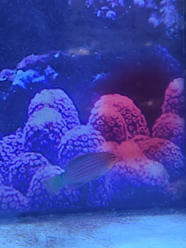 Pet Supply Store «Petco Animal Supplies», reviews and photos, 2805 E 29th Ave, Spokane, WA 99223, USA