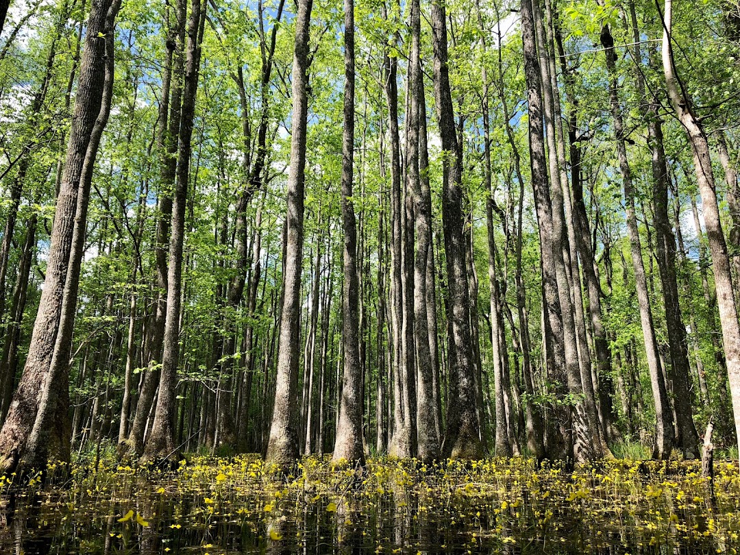 Greentree Land Management