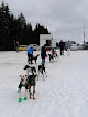 Nordic Sled Dogs - Chien de Traineau Samoëns Sixt-Fer-à-Cheval