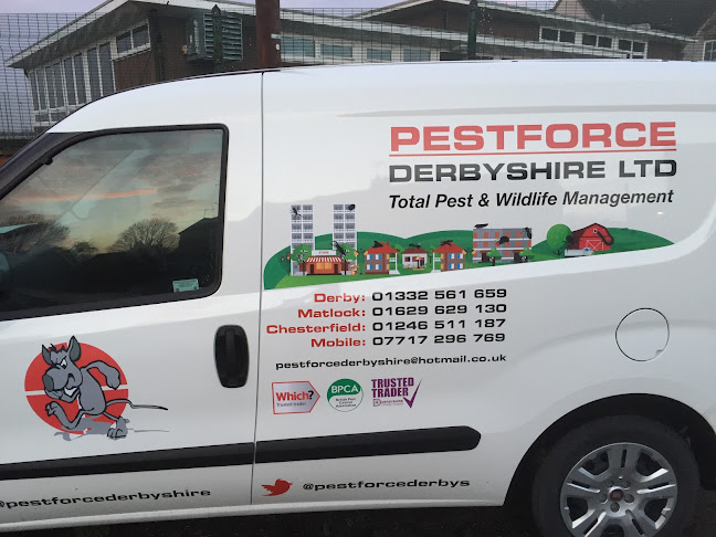 PestForce Derbyshire - Derby