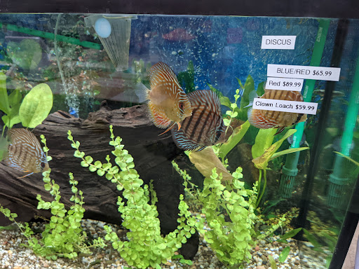 Tropical Fish Store «Aquariums By JJ», reviews and photos, 33 Hamburg Turnpike, Riverdale, NJ 07457, USA