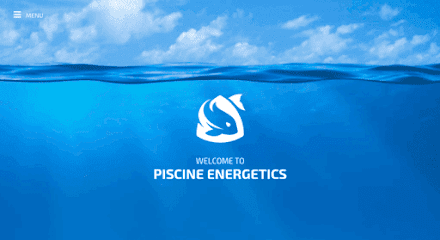 Piscine Energetics Inc