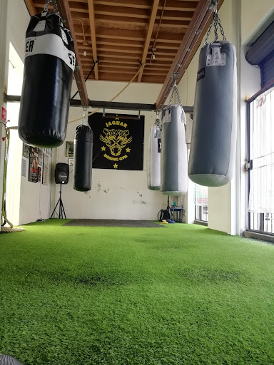 Jaguar Boxing Gym