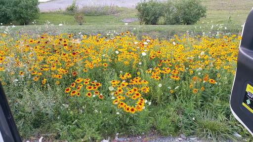 Home Improvement Store «Tractor Supply Co.», reviews and photos, 1161 Broadway, Bangor, ME 04401, USA