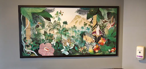 Coffee Shop «Starbucks», reviews and photos, 1198 S Cloverdale Blvd, Cloverdale, CA 95425, USA