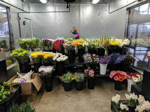 Garden Center «Blooms at Belle Mead», reviews and photos, 1980 US-206, Belle Mead, NJ 08502, USA