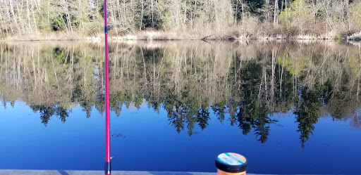 Park «Scriber Lake Park», reviews and photos, 5601 198th St SW, Lynnwood, WA 98036, USA