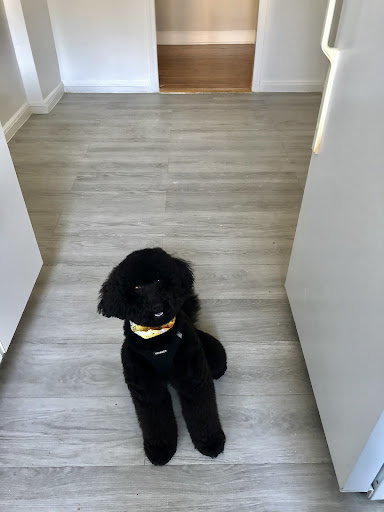 Pet Supply Store «PetSmart», reviews and photos, 400 Mill Creek Dr, Secaucus, NJ 07094, USA