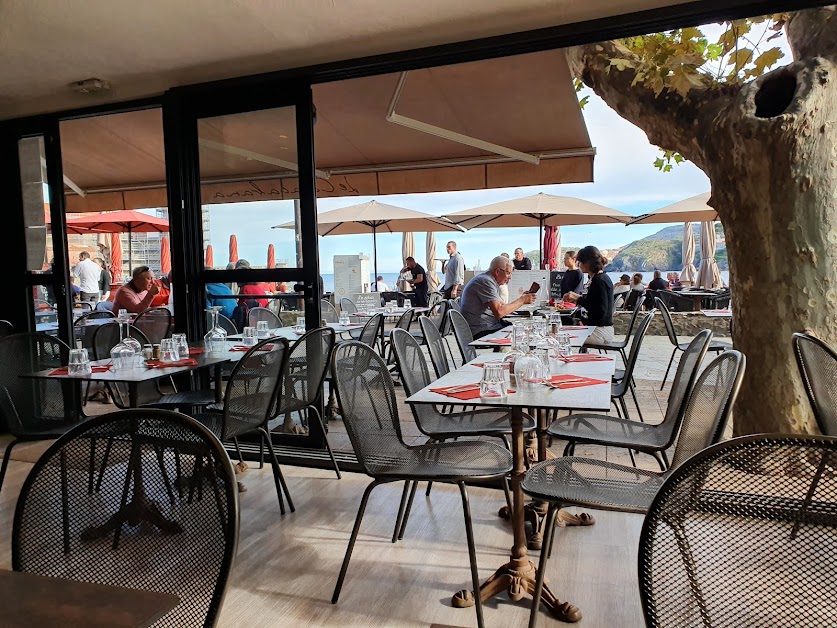 Le Copacabana à Collioure