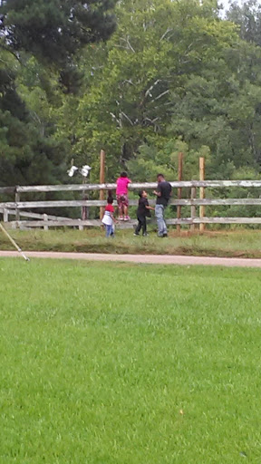 Bowling Alley «Metro 24 Bowling Center», reviews and photos, 3003 John R. Lynch St, Jackson, MS 39209, USA