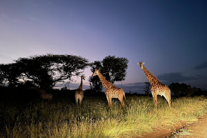 Mbuluzi Game Reserve image