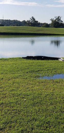 Golf Club «East Bay Golf Club», reviews and photos, 702 Country Club Dr, Largo, FL 33771, USA