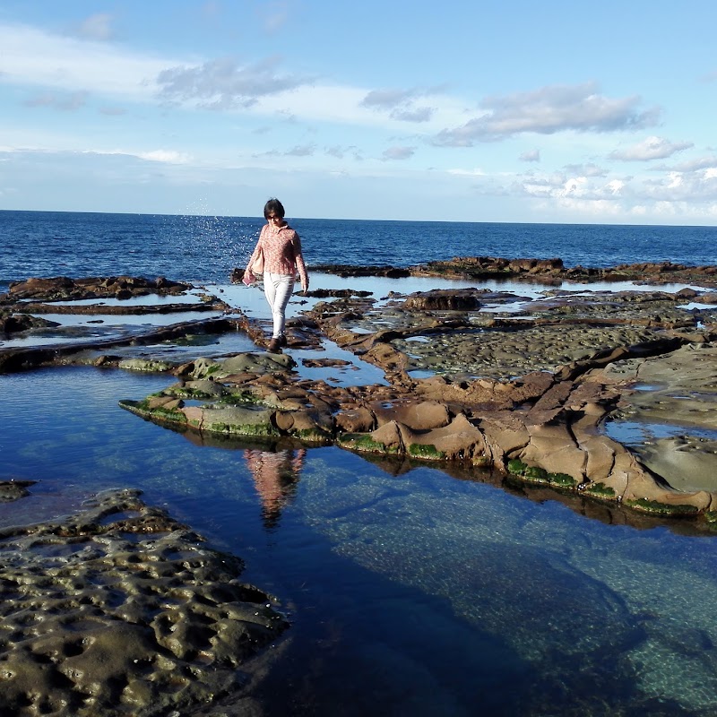 Avoca Beach Surf Life Saving Club