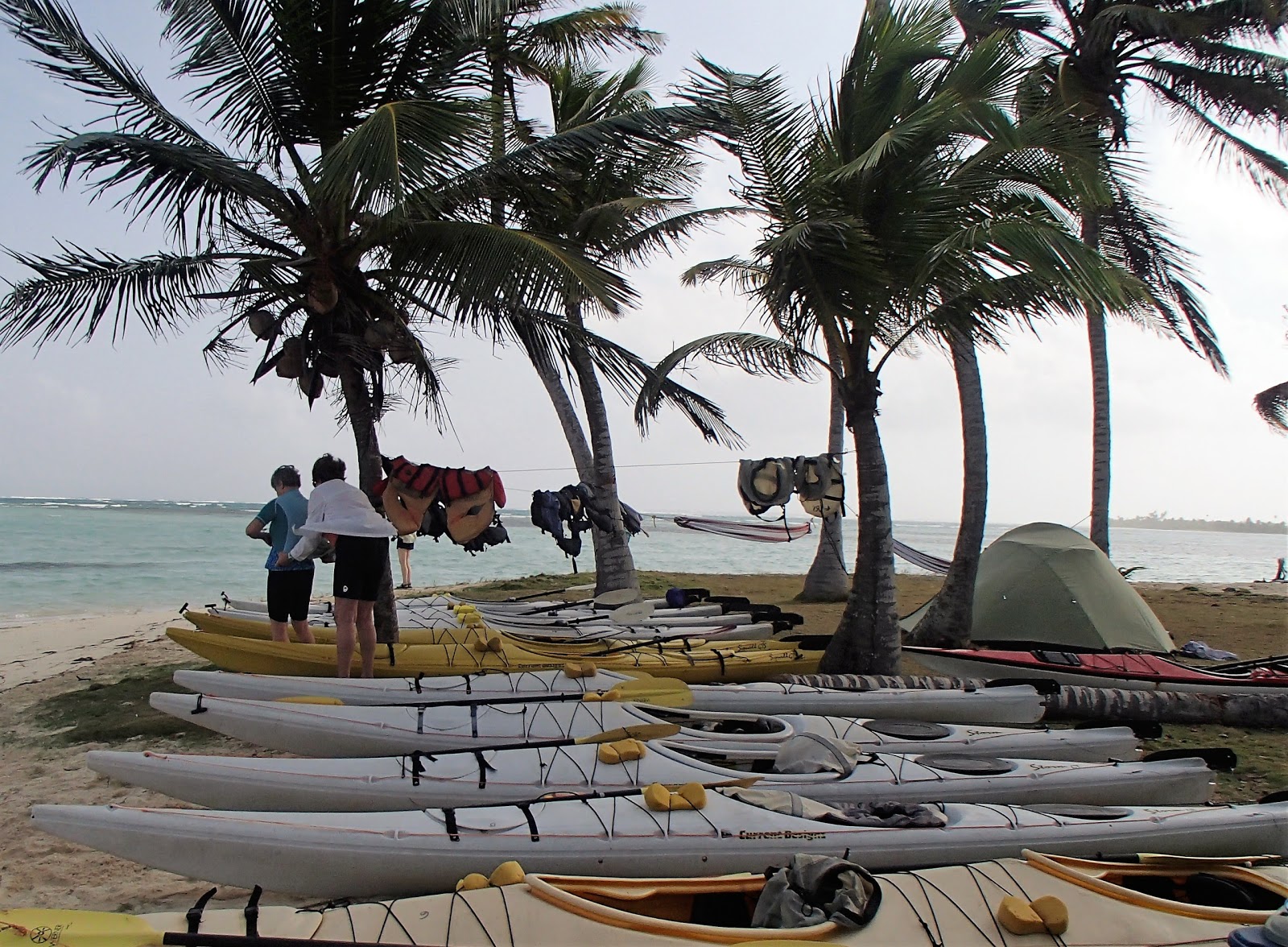 Misdubb beach'in fotoğrafı geniş plaj ile birlikte