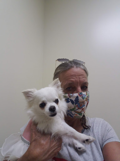 Pet Supply Store «Petco Animal Supplies», reviews and photos, 205 Palm Bay Rd NE #155, West Melbourne, FL 32904, USA