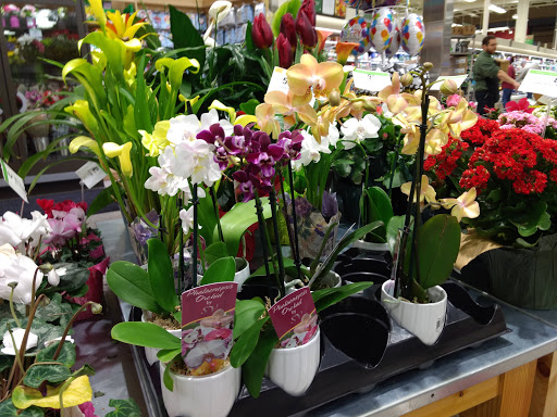 Supermarket «Publix Super Market at Village Shoppes of Madison», reviews and photos, 12070 County Line Rd c, Madison, AL 35756, USA