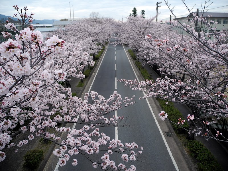 天理教語学院 奈良県天理市布留町 語学学校 学校 塾 グルコミ