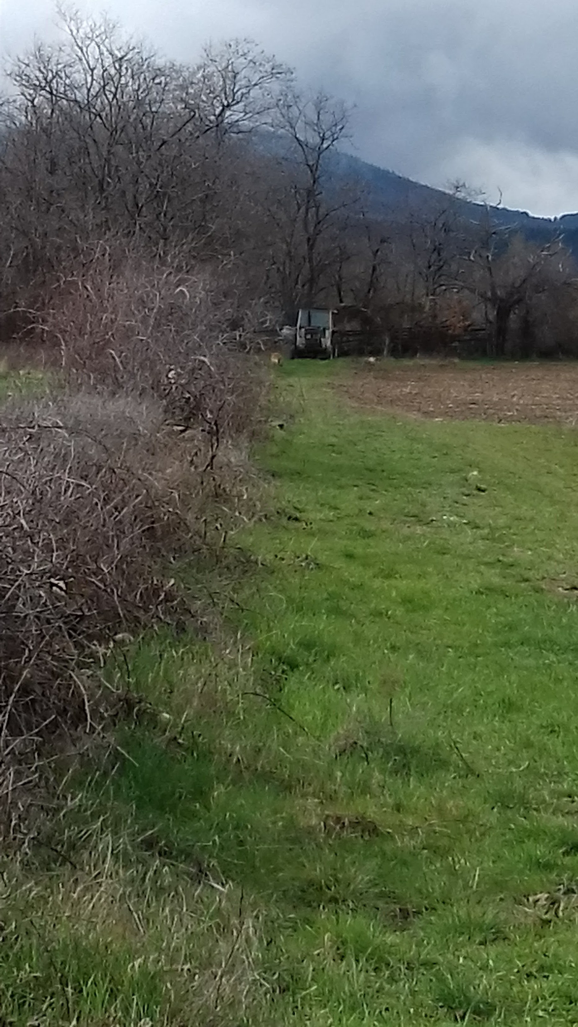 Photo n° 11 de l'avis de Mxtth.. fait le 25/03/2018 à 12:45