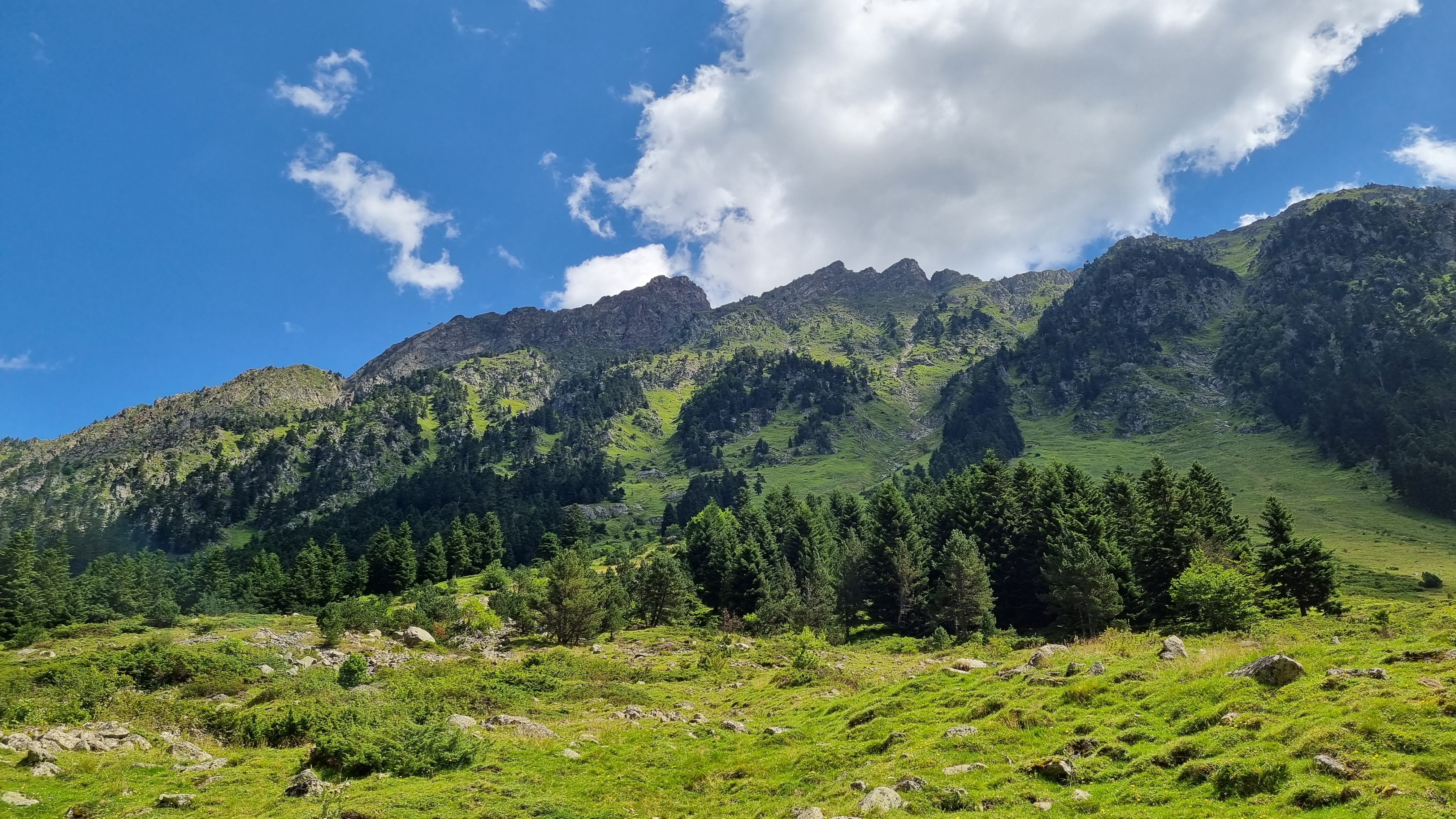 Photo n° 8 de l'avis de Clément.e fait le 12/08/2021 à 12:24