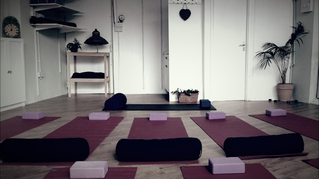 Zenw2 Wellness Collective - Yoga studio
