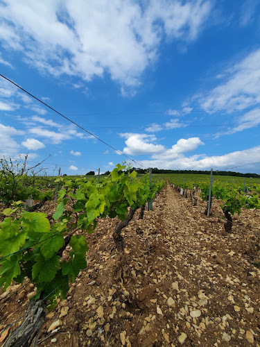 Roze Laurent - ferme viticole du Petit Virey 89700 Molosmes