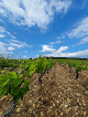 Roze Laurent - ferme viticole du Petit Virey Molosmes