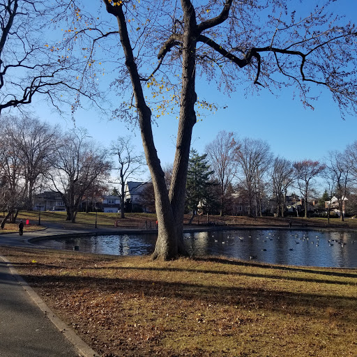 Park «Bowne Park», reviews and photos, 156-17 29th Ave, Flushing, NY 11354, USA