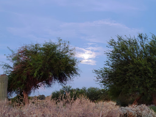 Golf Course «Falcon Dunes Golf Course», reviews and photos, 15100 Northern Ave, Waddell, AZ 85355, USA